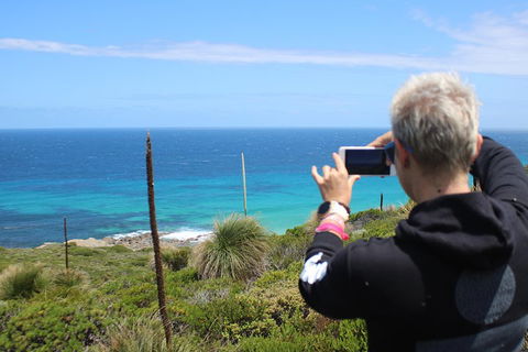 Margaret River Coastal And Wildlife Eco Trip From Busselton Or Dunsborough - Accommodation QLD 3