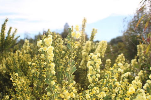 Margaret River Coastal And Wildlife Eco Trip From Busselton Or Dunsborough - Accommodation QLD 4