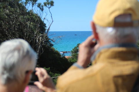 Margaret River Coastal And Wildlife Eco Trip From Busselton Or Dunsborough - Accommodation QLD 5